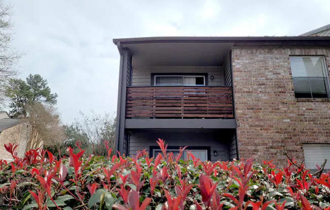 Carrara at Cypress Creek photo 5