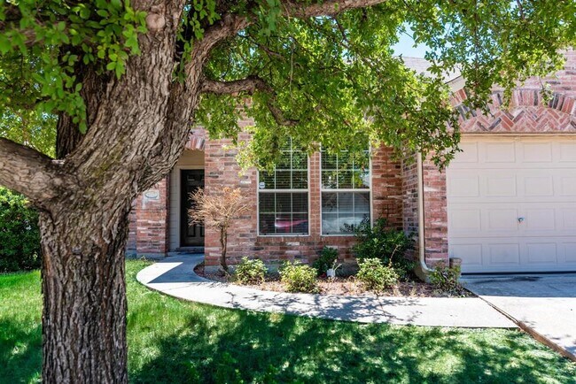 1132 Goldeneye, Aubrey, TX 76227 photo 3