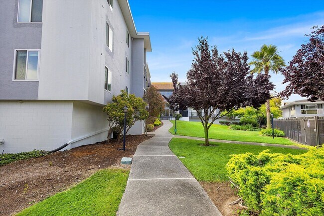 960 Shorepoint Ct Alameda, CA 94501 photo 3
