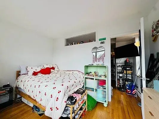 196 Stanton St New York, NY 10002 photo 4