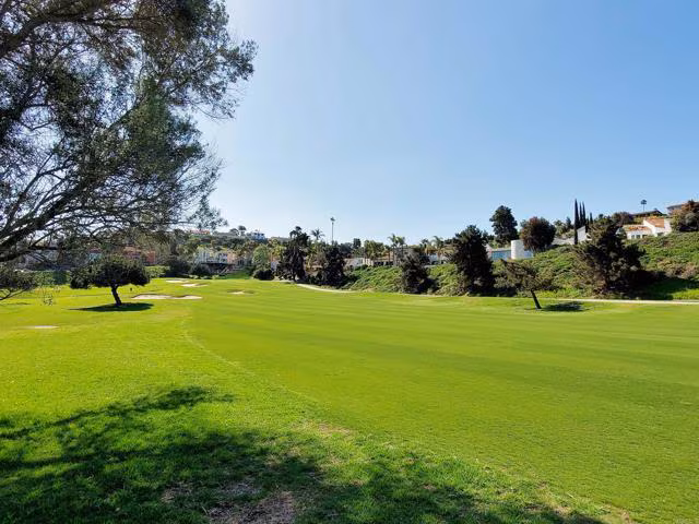 2625 Pirineos Way Carlsbad, CA 92009 photo 2