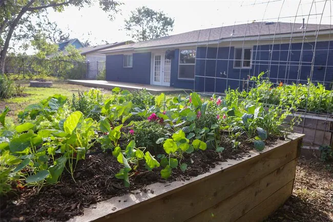 4BD 2BA in East Austin - Near Mueller community photo 5