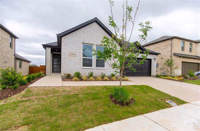 204 Castle Rock Drive, Melissa, TX 75454 photo 3