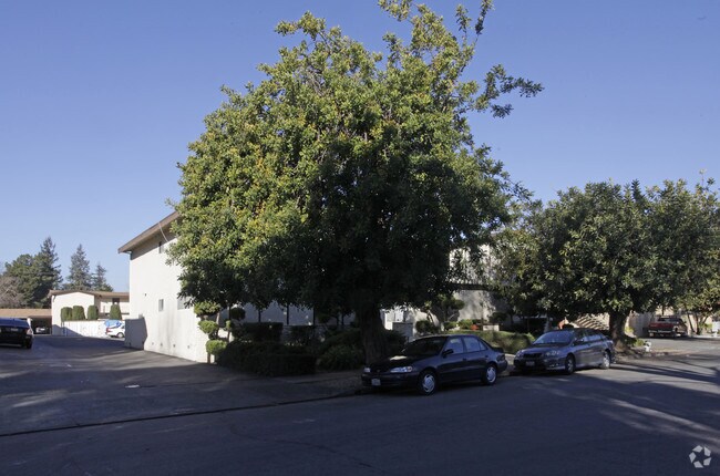 Courtyard Apartments photo 2