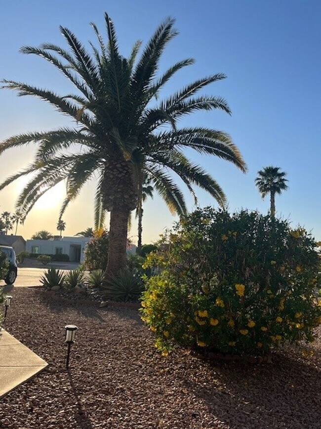1623 Leisure World Mesa, AZ 85206 photo 5