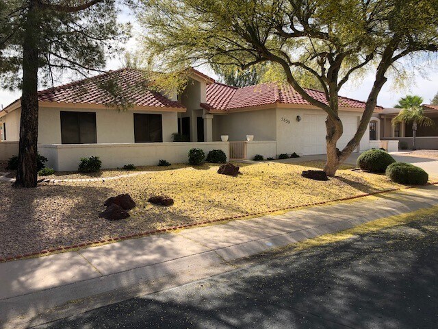 2639 Leisure World Mesa, AZ 85206 photo 5