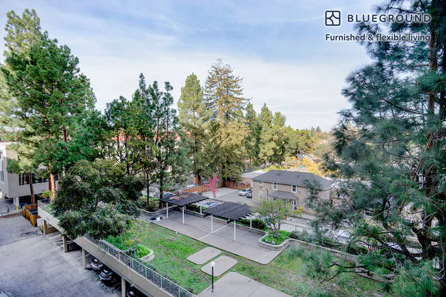 501 Forest Ave Palo Alto, CA 94301 photo 5