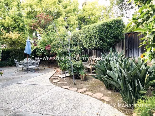 Superb 4 Bed 2 Bath Home nestled in a Private Court. photo 5