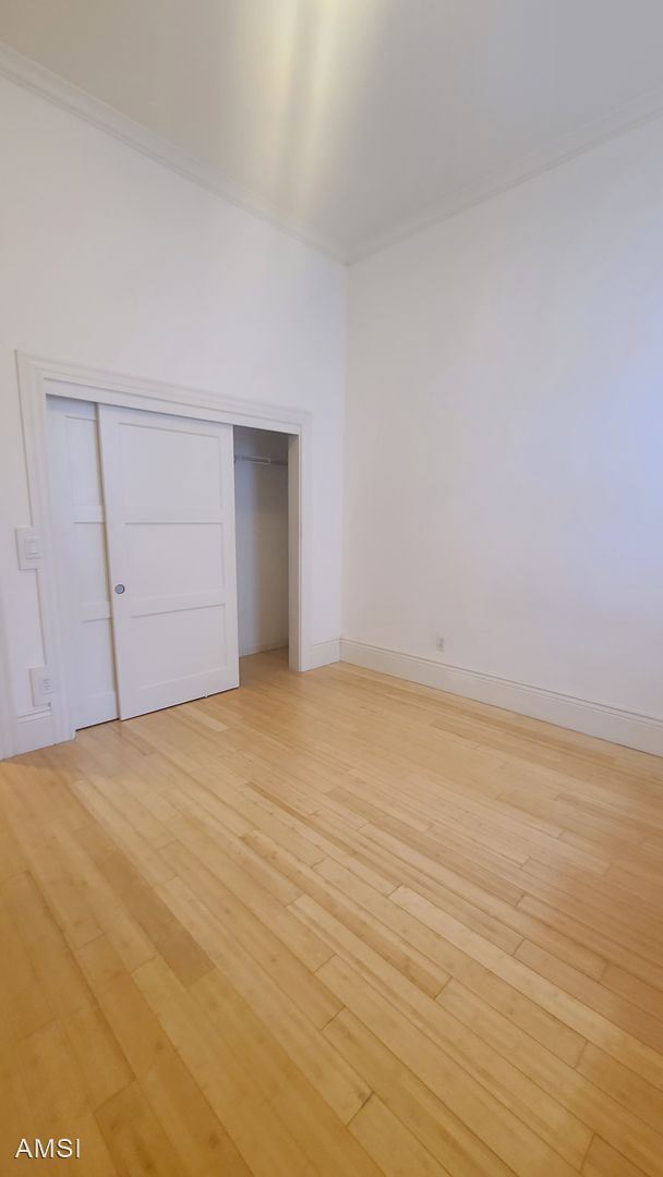 854 Shotwell St San Francisco, CA 94110 photo 5