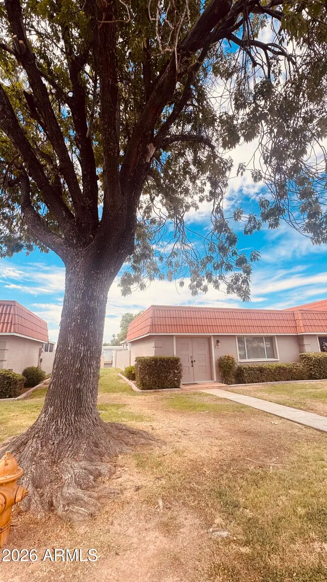 8229 E Vista Dr Scottsdale, AZ 85250 photo 3