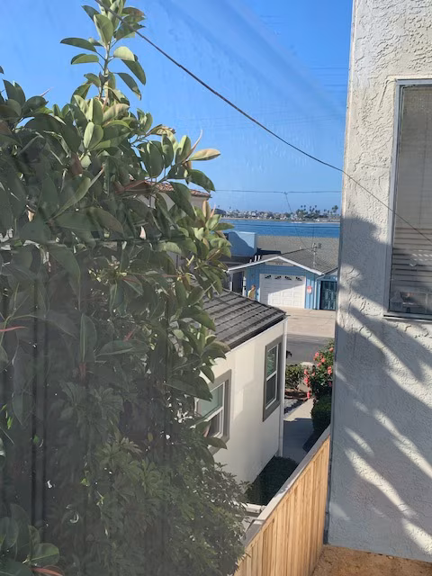 3733 Riviera Dr San Diego, CA 92109 photo 5