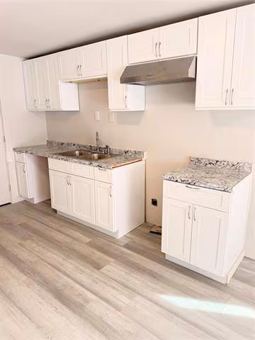 3522 Roberts Ave Dallas, TX 75215 photo 4