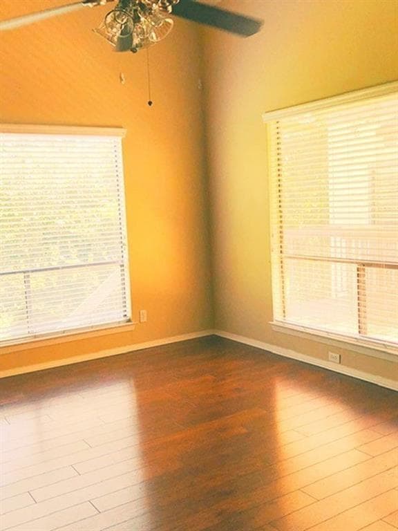 908 Poplar St Austin, TX 78705 photo 4