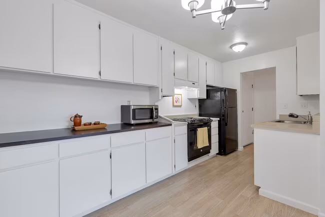 955 Shorepoint Ct Alameda, CA 94501 photo 4