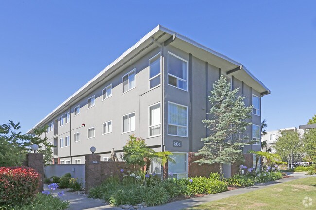San Mateo Apartments photo 4