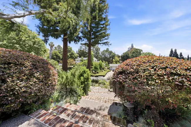 31 Mott Dr Alamo, CA 94507 photo 3