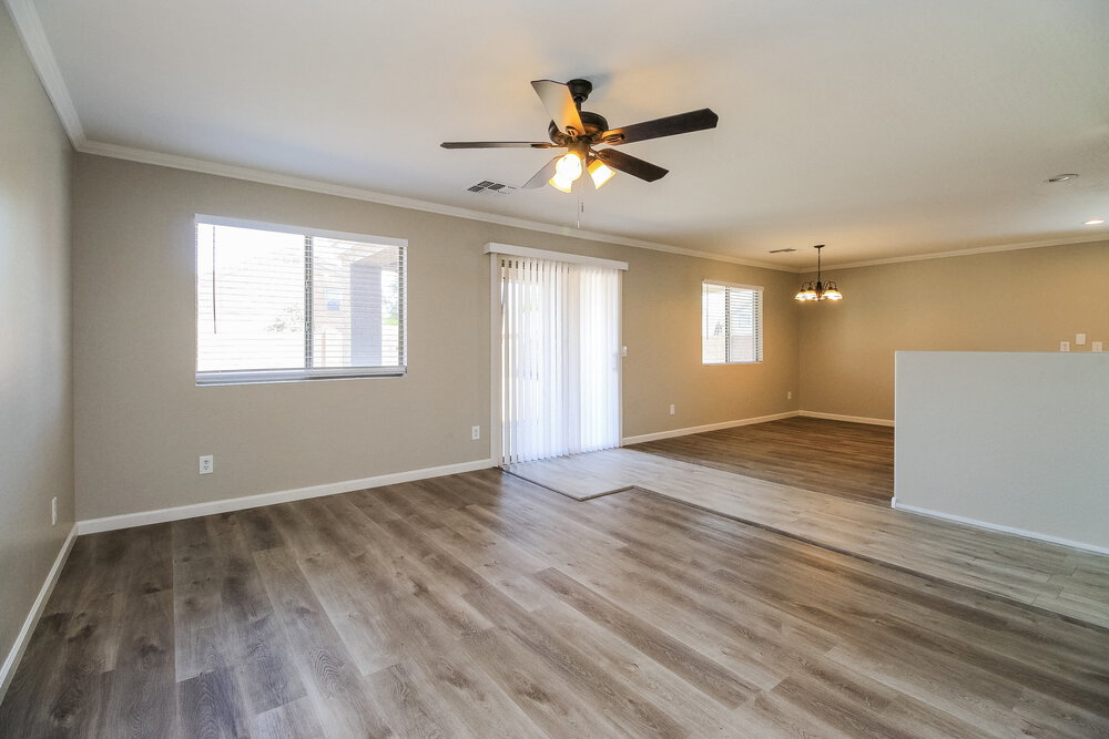 43002 W Camino de Janos photo 4