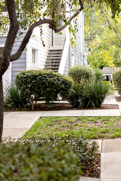 Classic Santa Clara home with covered patio photo 4