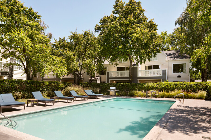 Apartments on Newhall St · Santa Clara photo 3