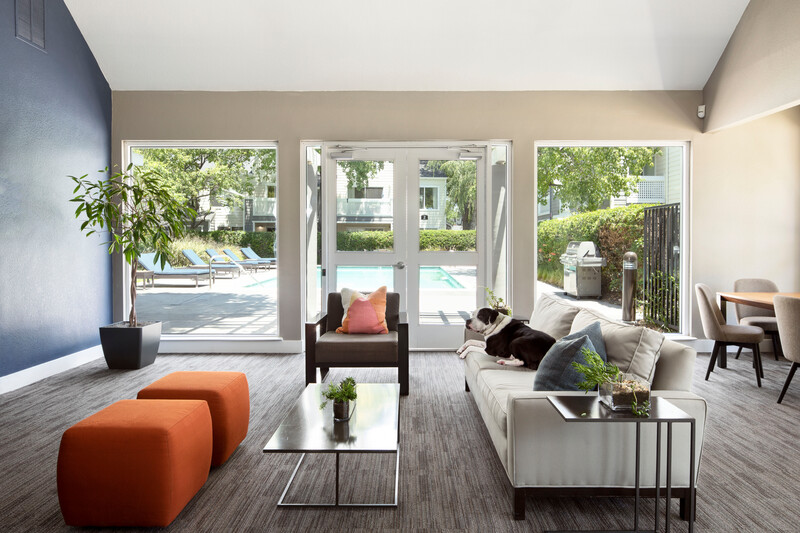 Apartments on Newhall St · Santa Clara photo 4