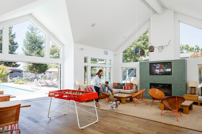 Madrone photo 4
