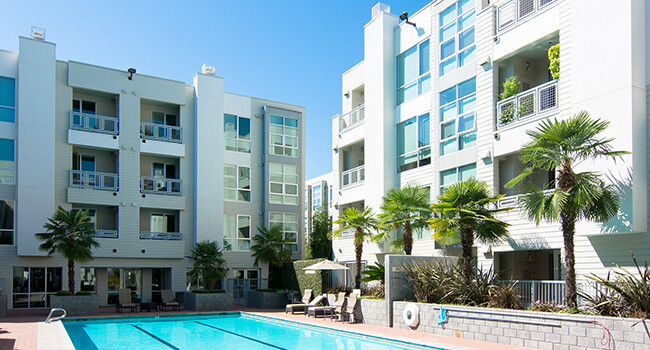 1655 N California Blvd Walnut Creek, CA 94597 photo 4