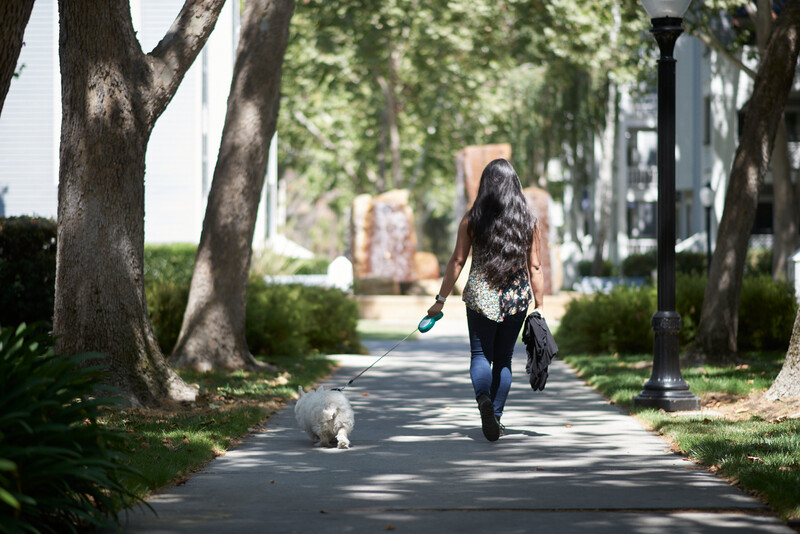 Park Place photo 2