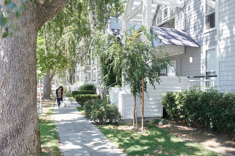 Park Place photo 5