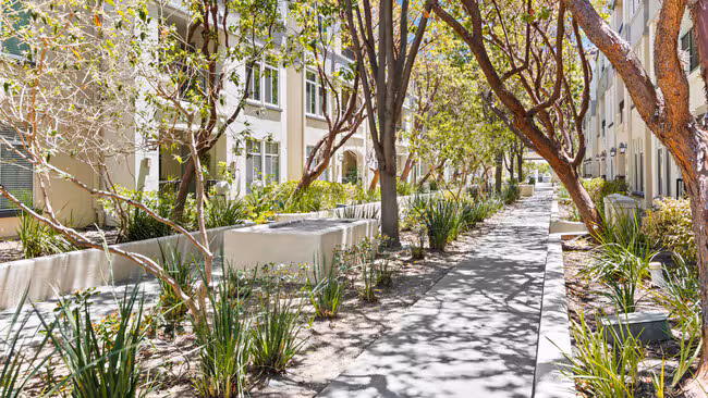 Park Place at San Mateo photo 4