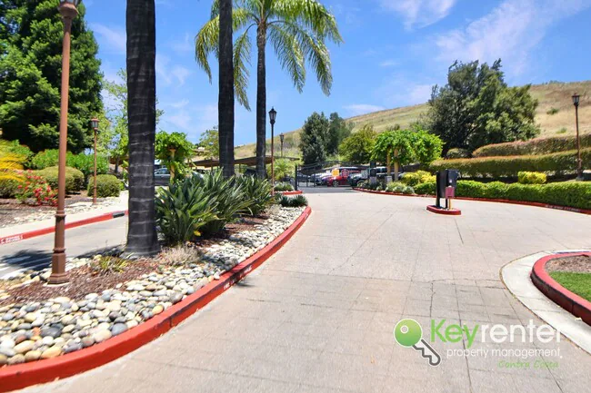 795 Watson Canyon Ct San Ramon, CA 94582 photo 3
