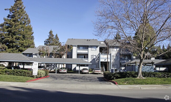 CYPRESS ROYALE photo 3
