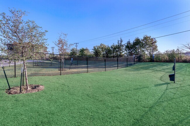 Campus Apartments photo 3