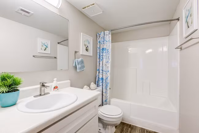 Argenta Apartments photo 5