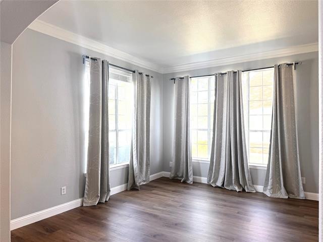 1219 Arbor Park Drive, Allen, TX 75013 photo 5