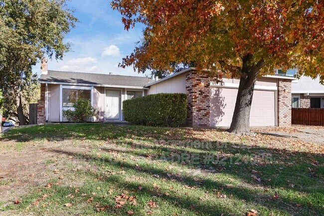 3605 Dewitt Ct photo 2