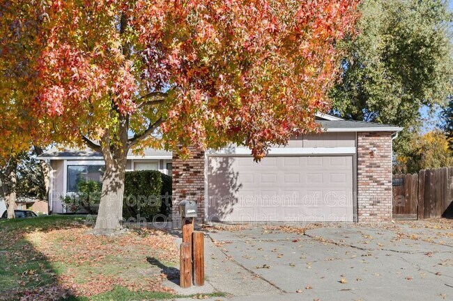 3605 Dewitt Ct