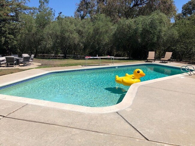 Monte Sereno Retreat photo 2