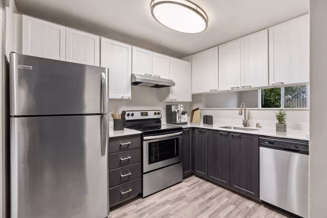 Vibe Apartments photo 2