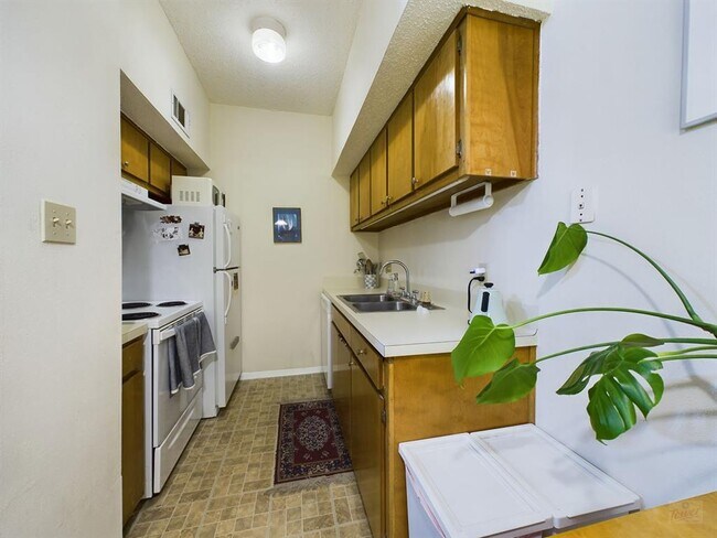 3316 Guadalupe St Austin, TX 78705 photo 5