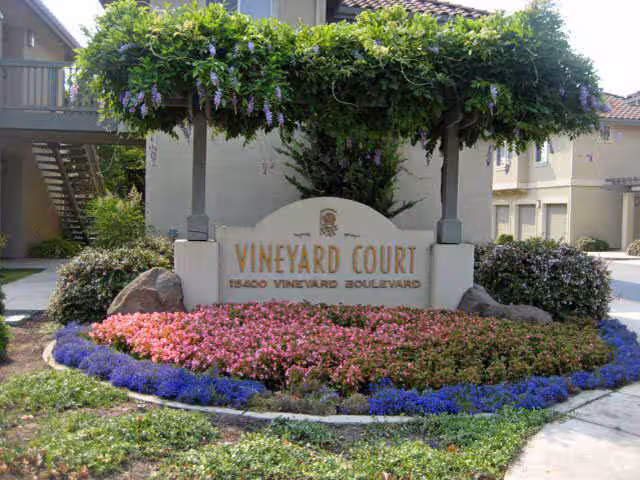 Vineyard Court photo 2