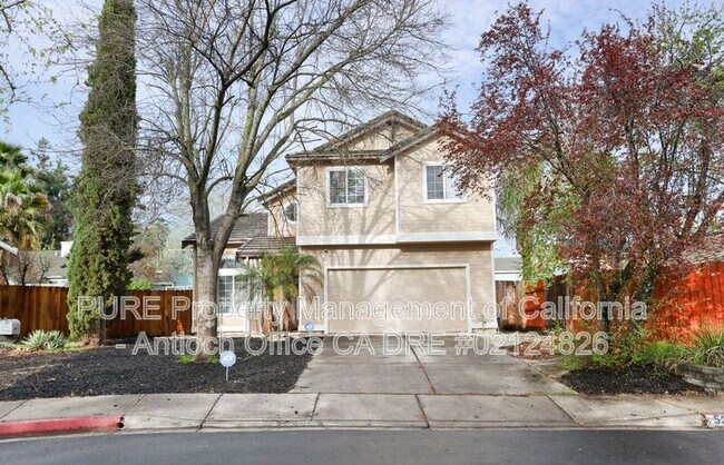 5336 Sandrose Ct photo 2
