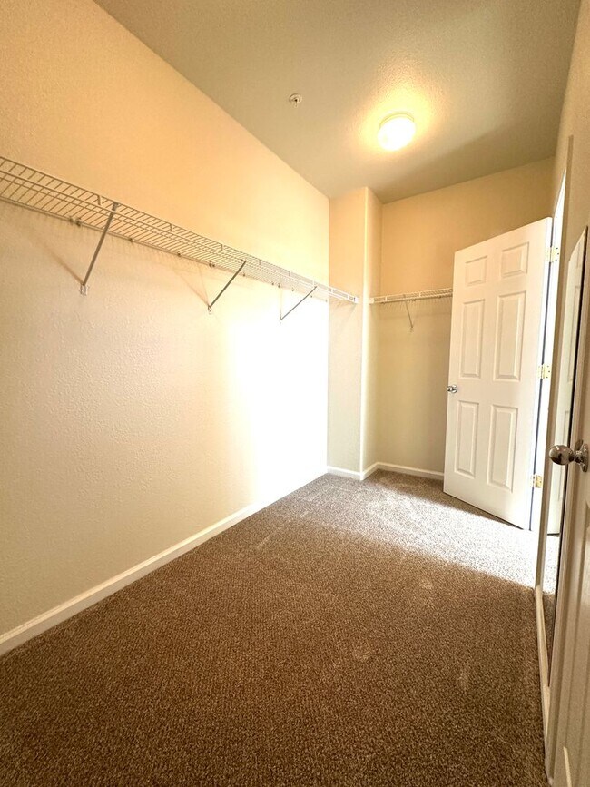Newly Renovated  Move in Ready photo 5