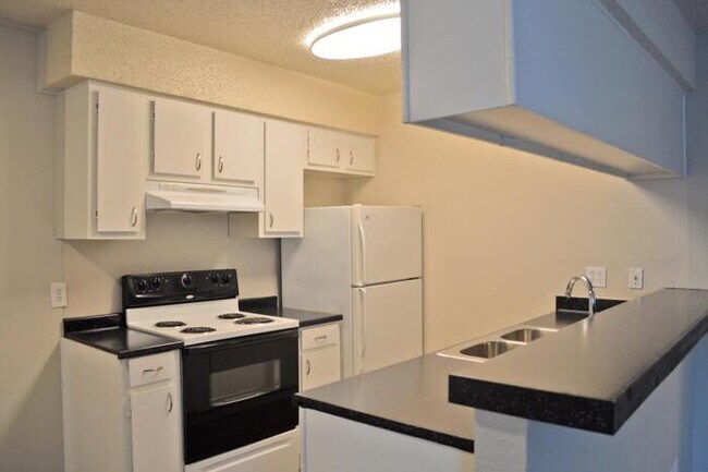 2207 S 5th St Austin, TX 78704 photo 5