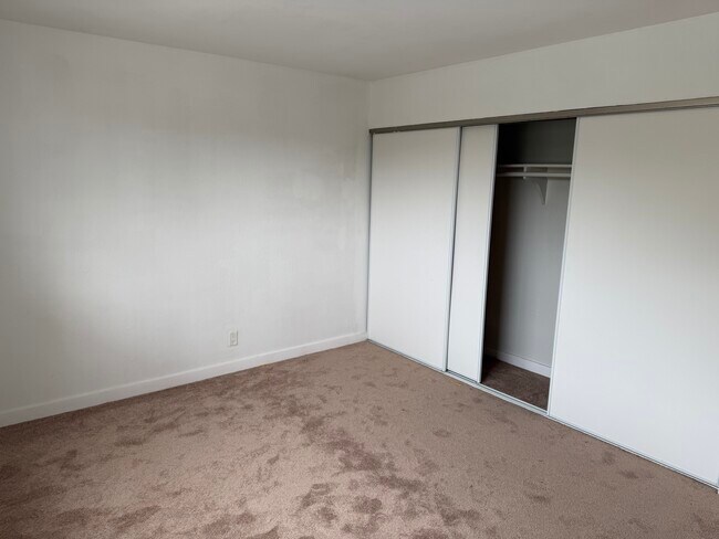 Surfside Palms Apartments photo 3