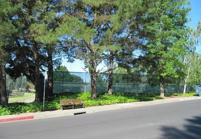 361 Masters Ct Walnut Creek, CA 94598 photo 5
