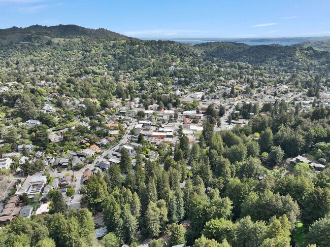 12 Molino Avenue, Mill Valley, CA 94941 photo 4