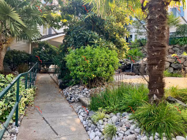 Oasis Apartments photo 4