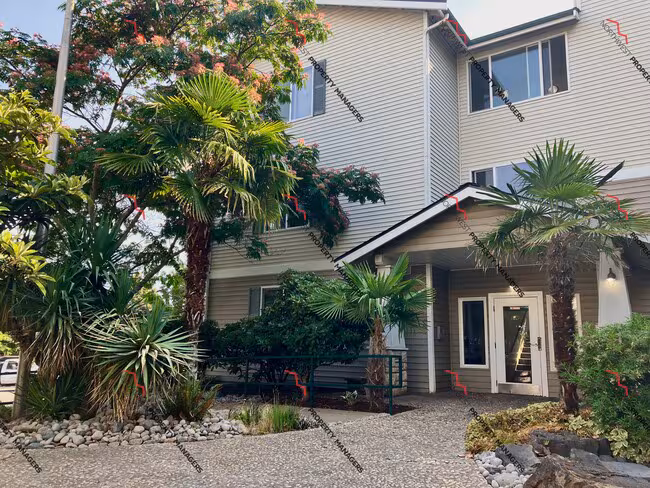 Oasis Apartments photo 3