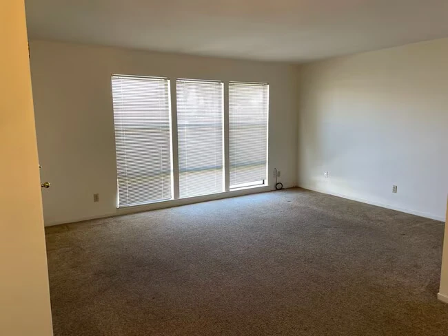 14121 Grand Ave Walnut Grove, CA 95690 photo 4