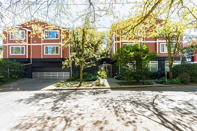 Madrona Court photo 3